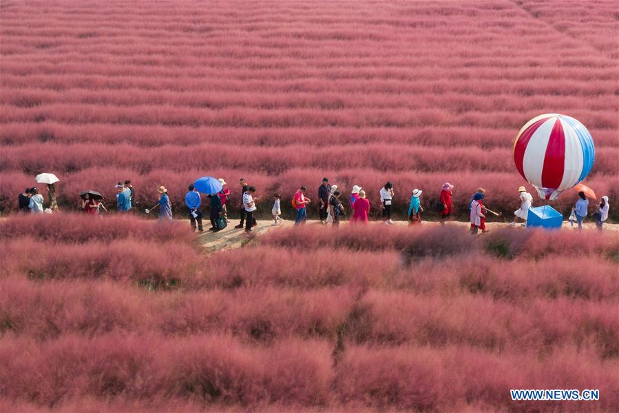 XINHUA PHOTO WEEKLY CHOICES