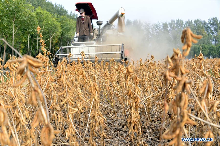 #CHINA-SHANDONG-FARMWORK (CN)