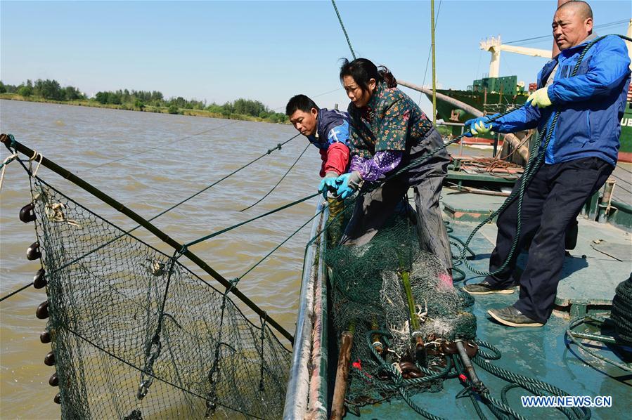 #CHINA-JIANGSU-YANGTZE RIVER-CRAB (CN)