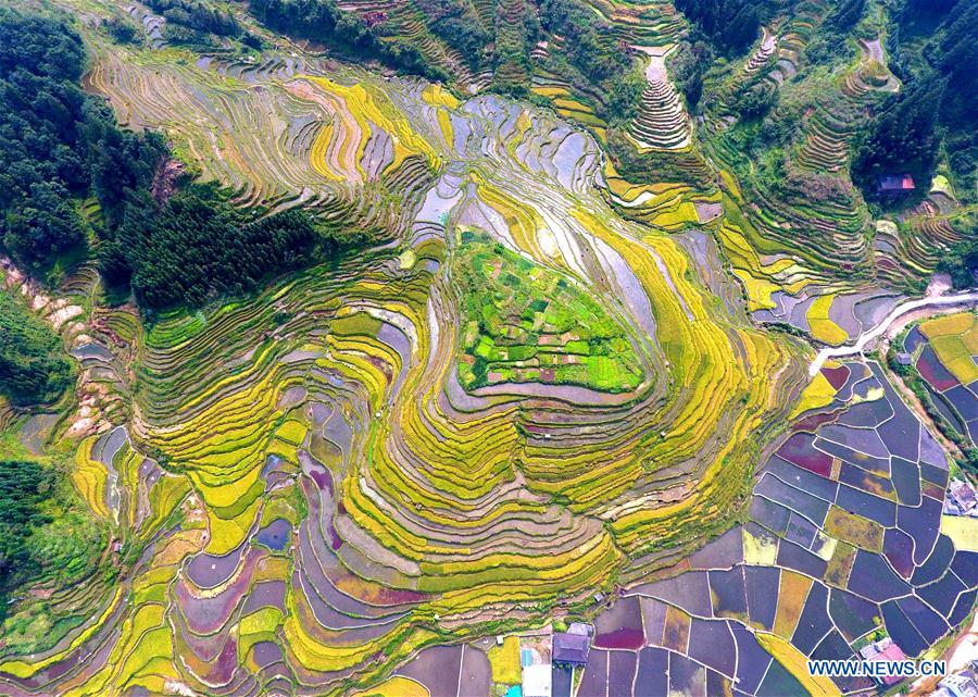 CHINA-GUANGXI-TERRACED FIELD-SCENERY (CN)