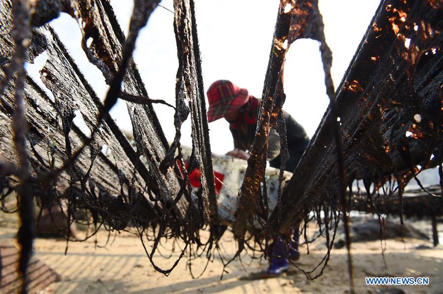 CHINA-FUJIAN-PUTIAN-LAVER HARVEST (CN)