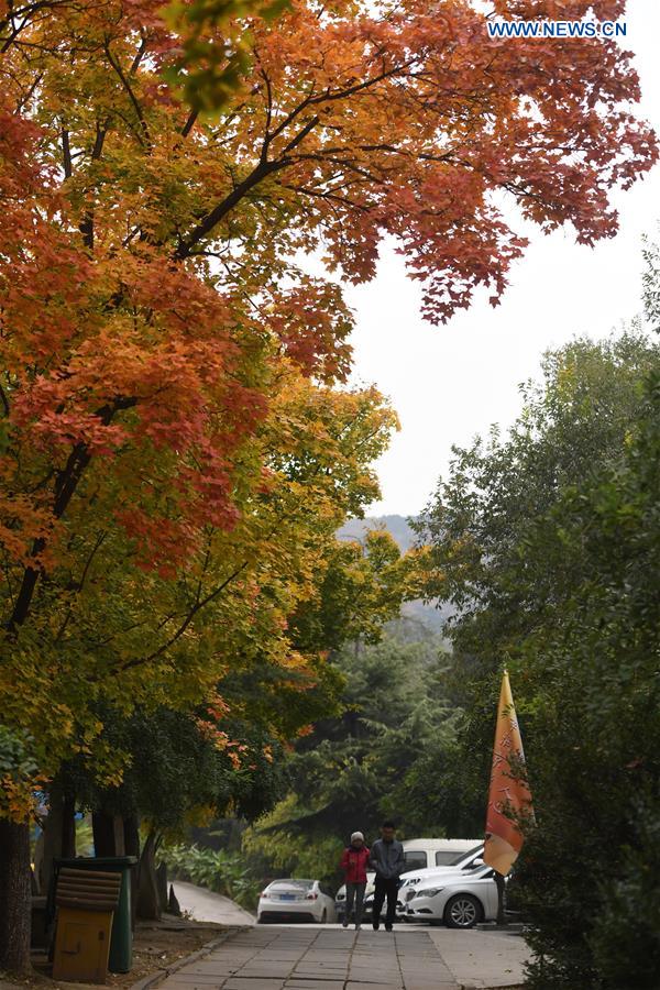 CHINA-BEIJING-BADACHU-AUTUMN SCENERY(CN)