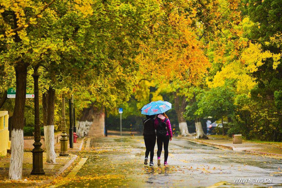 #CHINA-QINGDAO-BADAGUAN-SCENERY(CN)