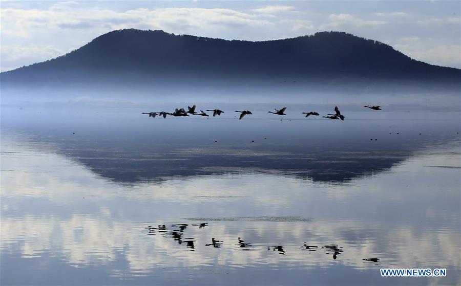 XINHUA PHOTO WEEKLY CHOICE