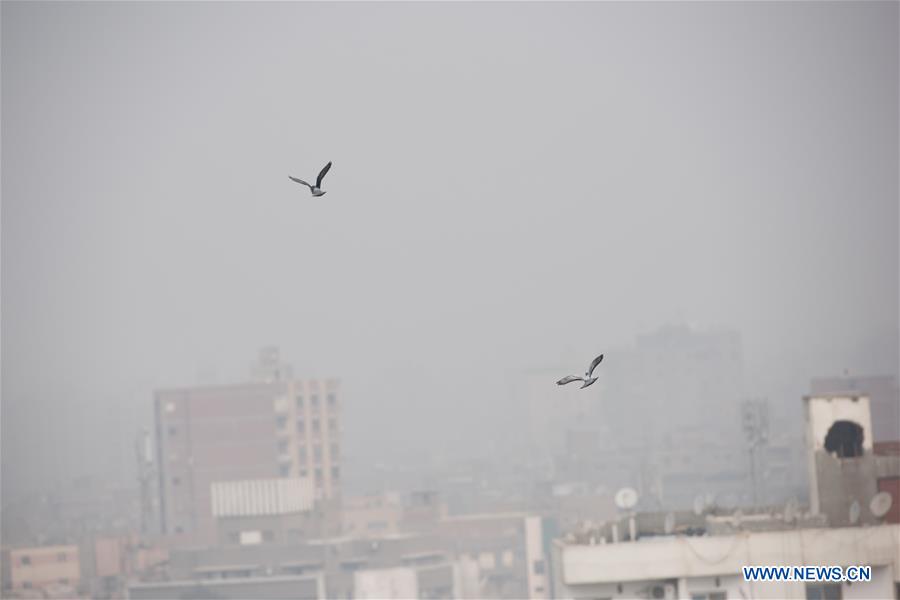 EGYPT-CAIRO-FOG