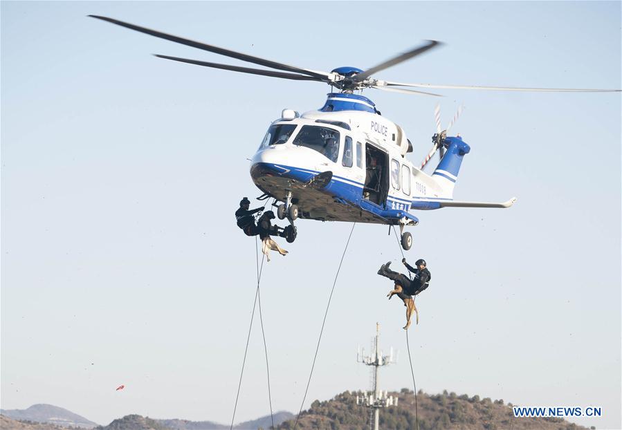 CHINA-BEIJING-POLICE DOG-SKILL COMPETITION (CN)