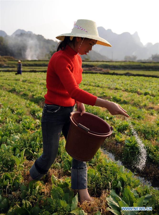 CHINA-GUANGXI-POVERTY ALLEVIATION-STONY DESERTIFICATION CONTROL (CN)