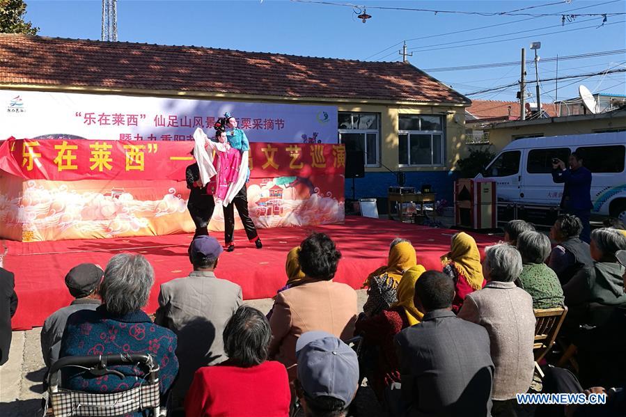 CHINA-SHANDONG-LAIXI-PUPPET SHOW (CN)