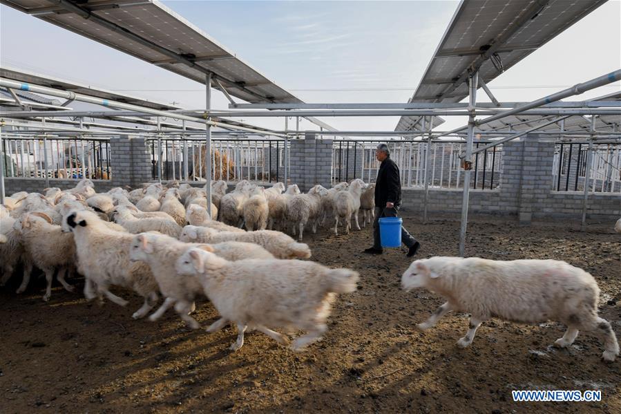 CHINA-INNER MONGOLIA-MODERN LIFE (CN)