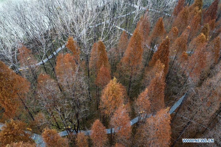 #CHINA-JIANGSU-HUAI'AN-SCENERY (CN)