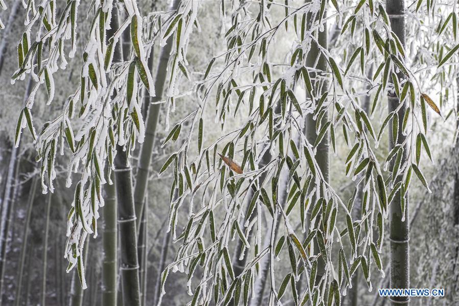 #CHINA-ANHUI-SNOW(CN)  