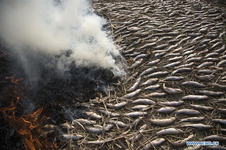 INDIA-KASHMIR-SRINAGAR-SMOKED FISH