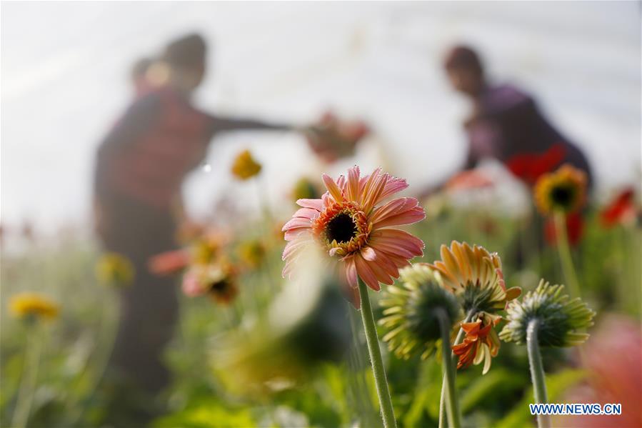 XINHUA PHOTOS OF THE DAY