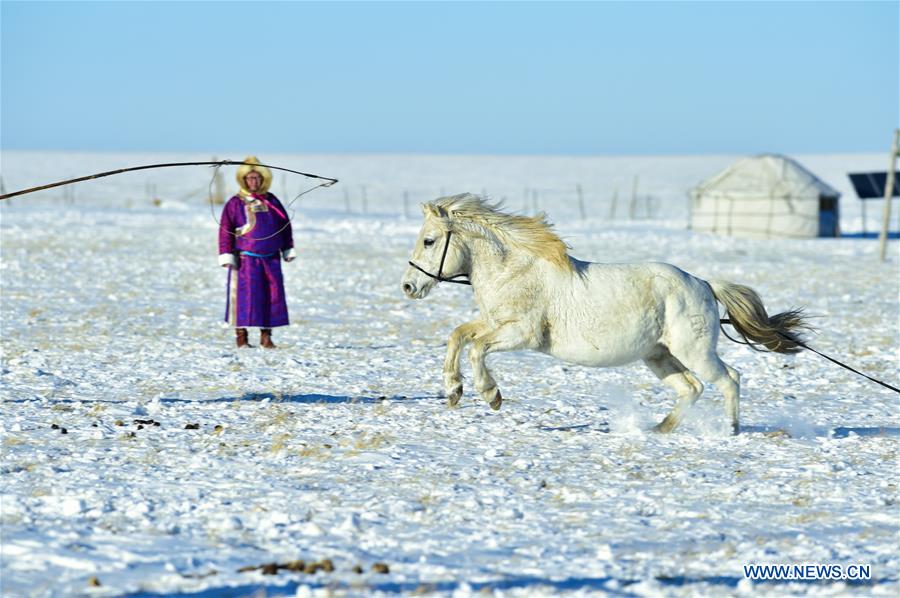 CHINA-INNER MONGOLIA-LASSOING (CN)