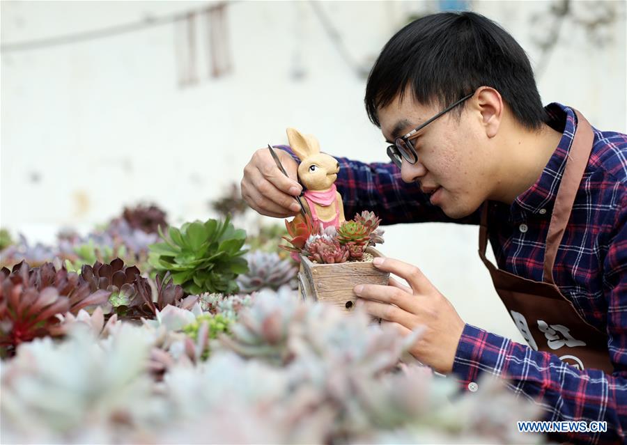 CHINA-HEBEI-SUCCULENT PLANTS (CN)