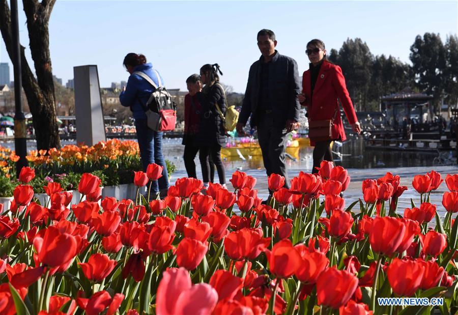 CHINA-KUNMING-FLOWERS (CN)