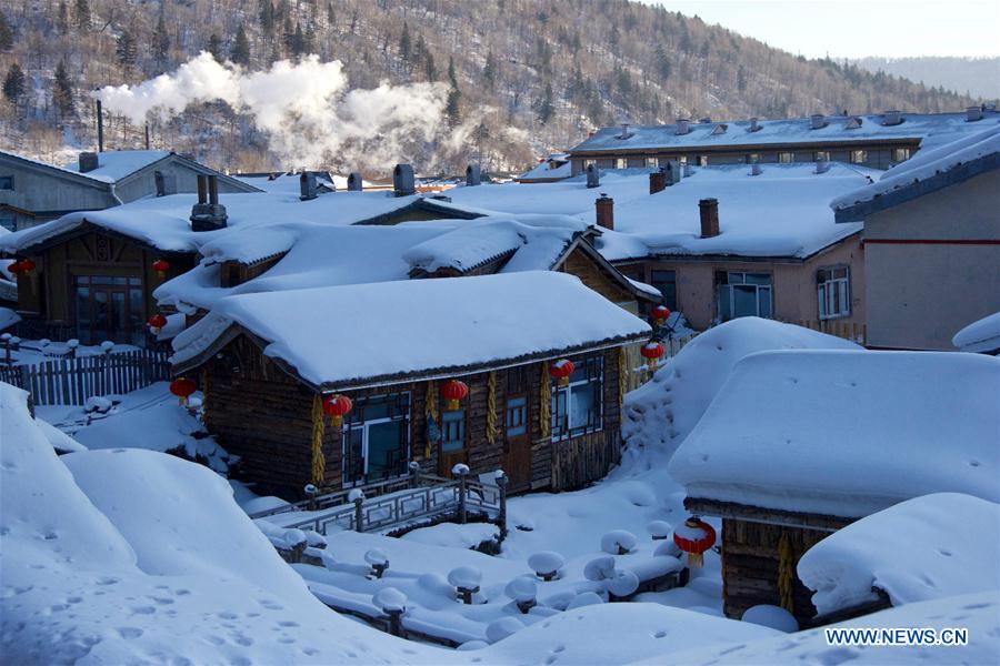 CHINA-HEILONGJIANG-SNOW SCENERY (CN)