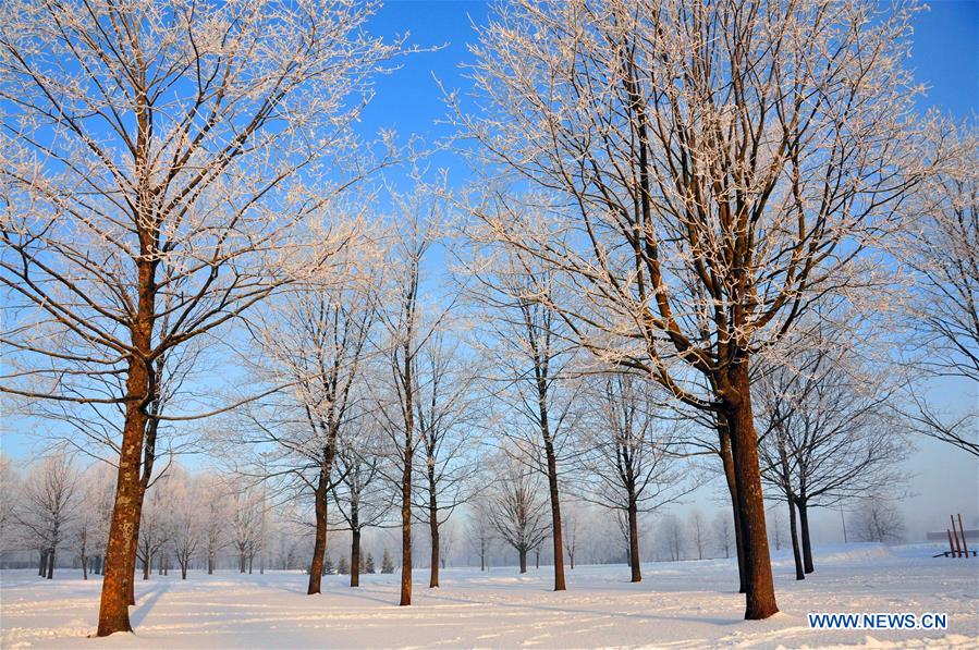 LATVIA-RIGA-WINTER SCENERY