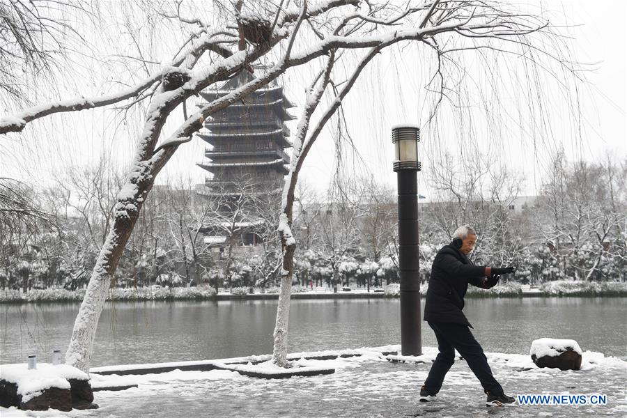 CHINA-ANHUI-HEFEI-SNOW-SCENERY (CN)