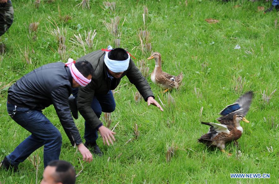 CHINA-GUIZHOU-JIANHE-SPRING FESTIVAL-CELEBRATION (CN)