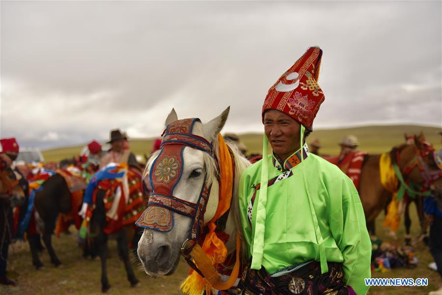 (InTibet) CHINA-TIBET-HORSE (CN)