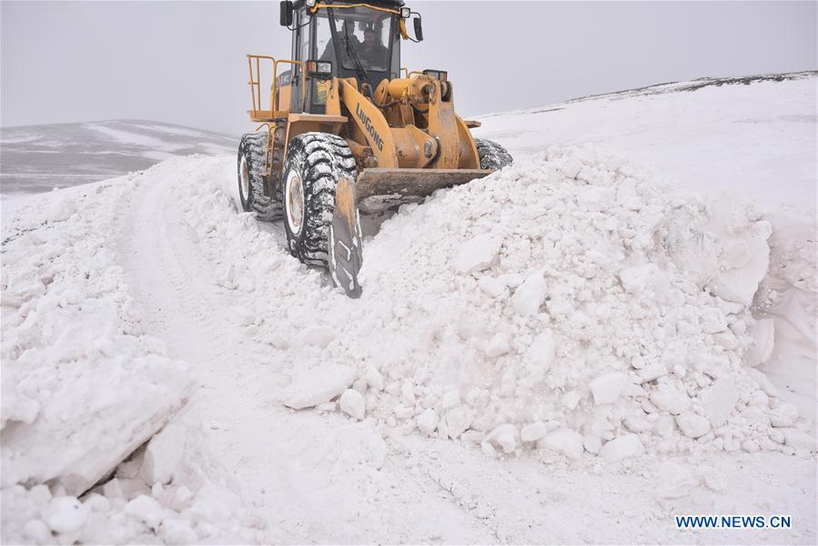 CHINA-QINGHAI-YUSHU-BLIZZARD-RELIEF (CN)