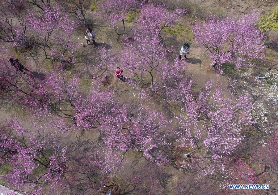 #CHINA-SPRING-FLOWERS (CN)