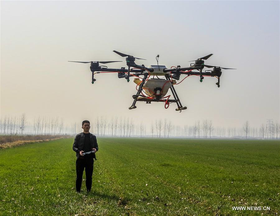 #CHINA-JINGZHE-FARM WORK