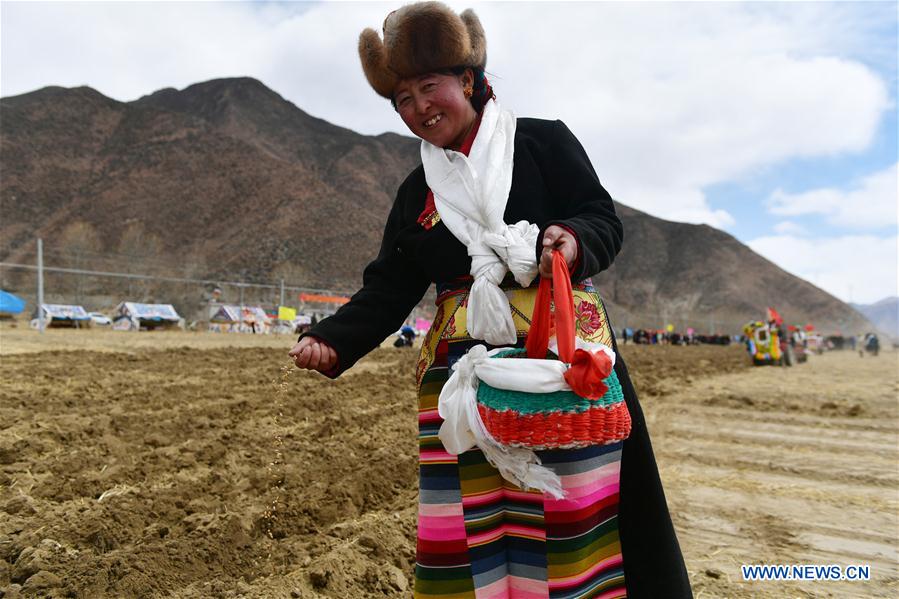 CHINA-TIBET-SPRING PLOWING (CN)