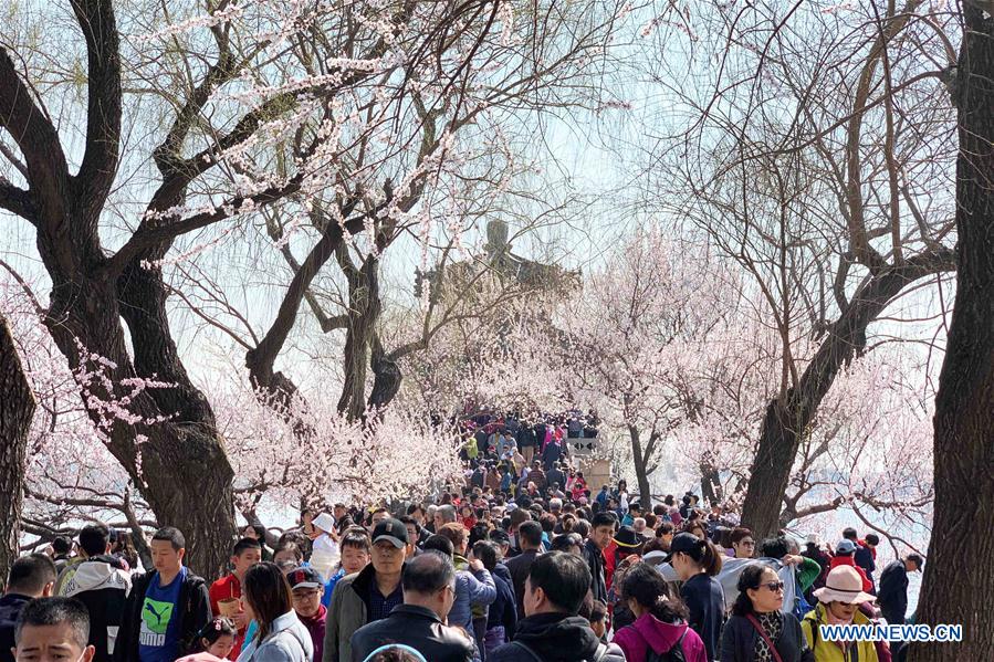 (BeijingCandid)CHINA-BEIJING-SPRING-PARKS