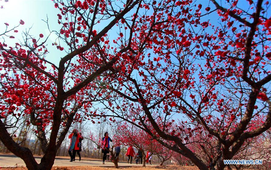 # CHINA-SPRING-SCENERY (CN)