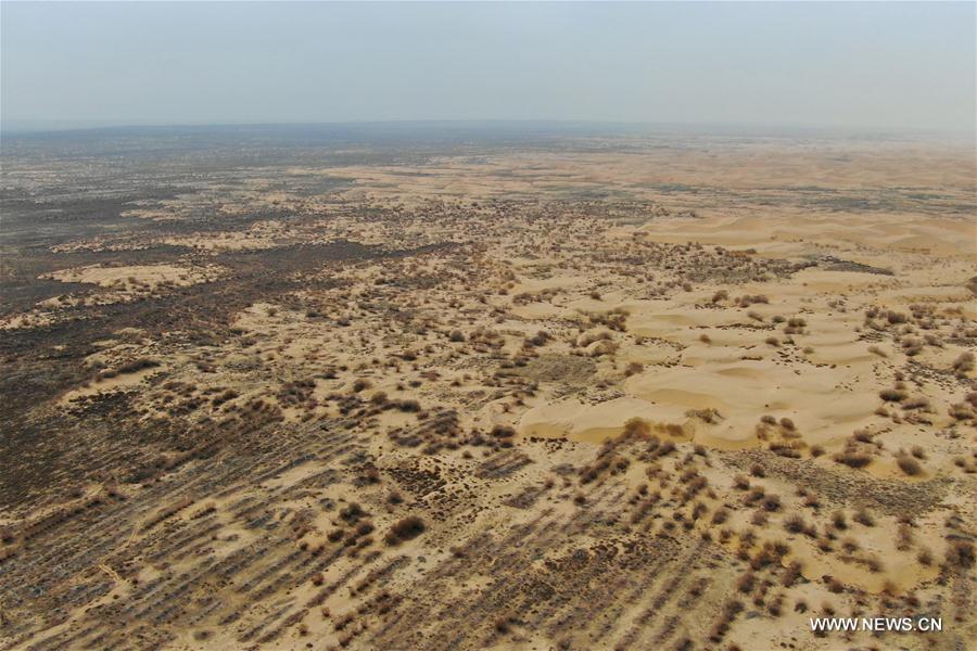 CHINA-INNER MONGOLIA-ORDOS-DESERTIFICATION CURBING (CN)