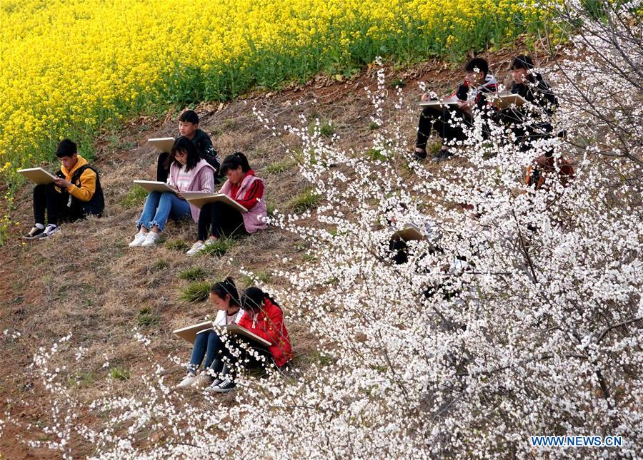 CHINA-HENAN-LUONING-SPRING SCENERY (CN)