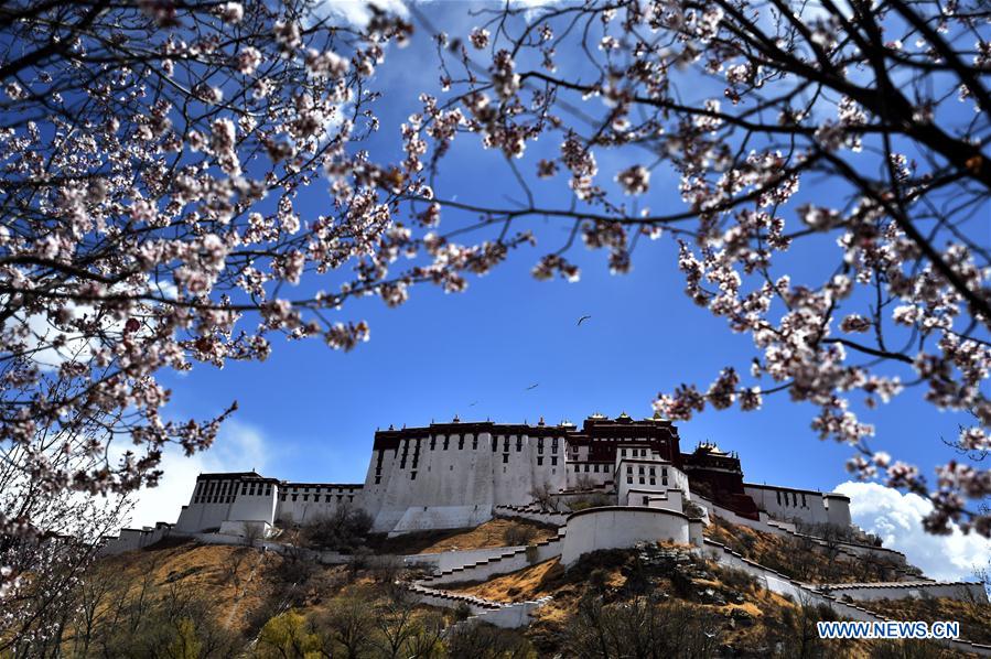 CHINA-LHASA-SPRING (CN)