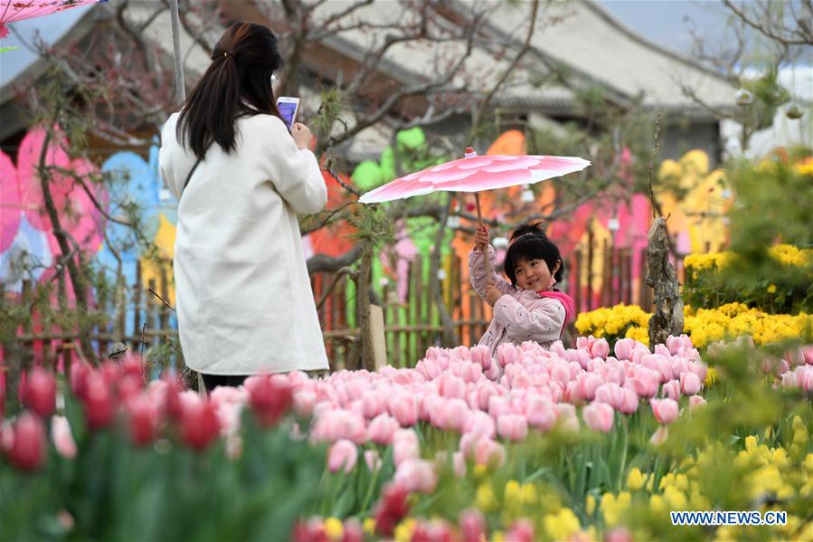 CHINA-GANSU-YUZHONG-TULIP (CN)