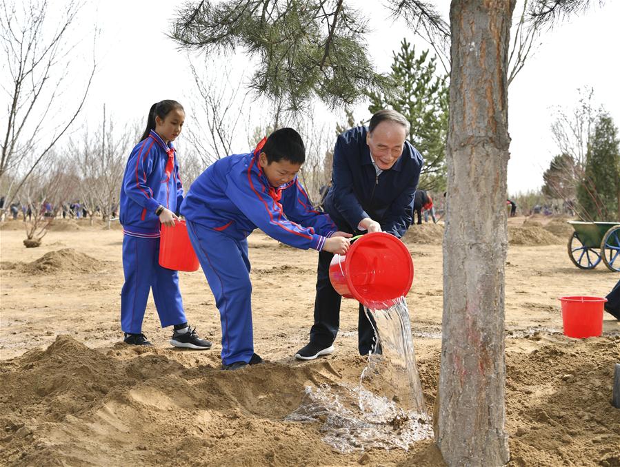 CHINA-BEIJING-LEADERS-TREE PLANTING (CN)