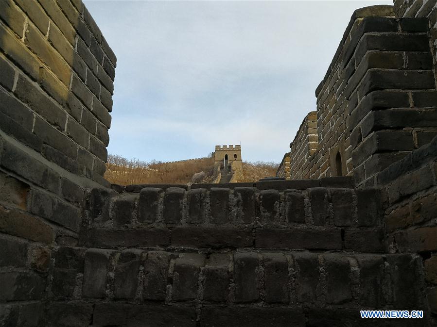 (Beijingcandid)CHINA-BEIJING-GREAT WALL-SPRING SCENERY (CN)