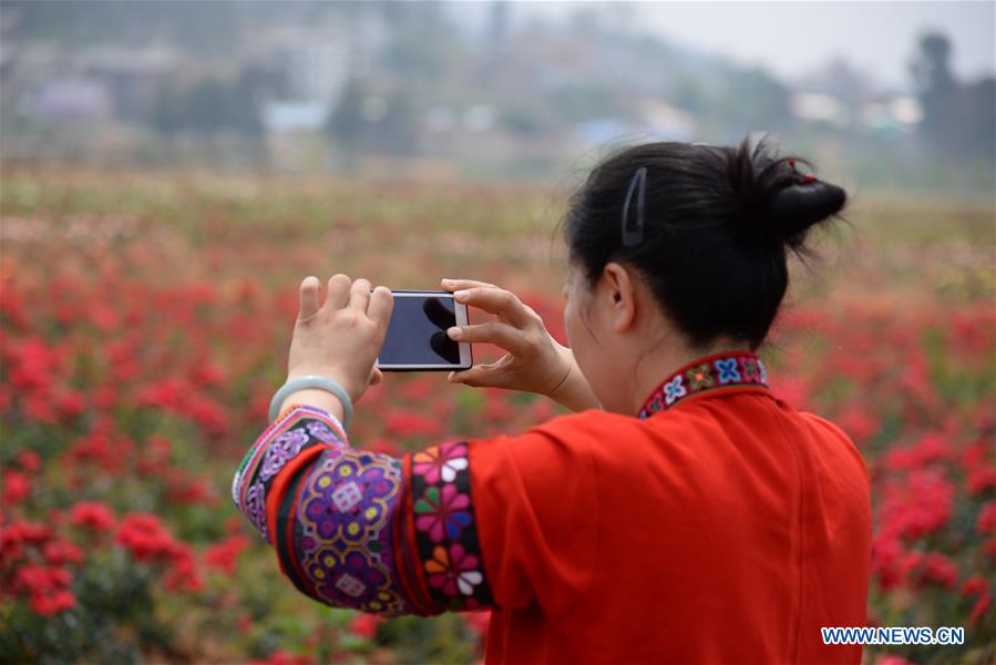 CHINA-YUNNAN-PUZHEHEI NATIONAL WETLAND PARK (CN)