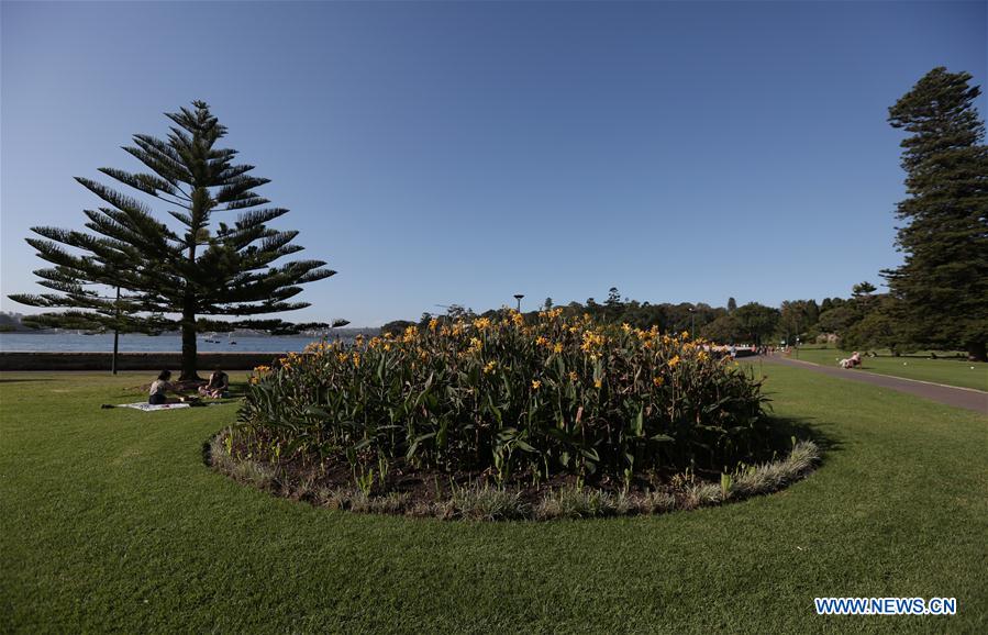 AUSTRALIA-SYDNEY-ROYAL BOTANIC GARDEN