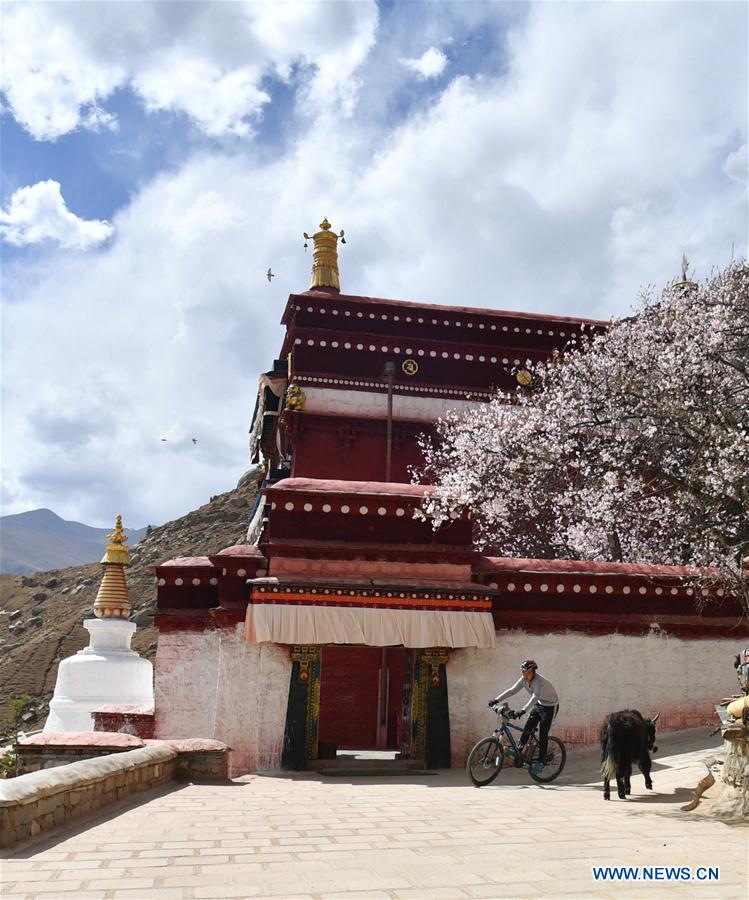 CHINA-TIBET-PABONKA HERMITAGE-SCENERY (CN)