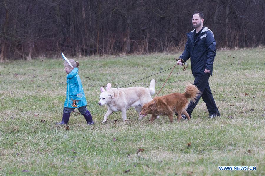 CANADA-ONTARIO-OAKVILLE-EASTER EGG HUNT FOR DOGS