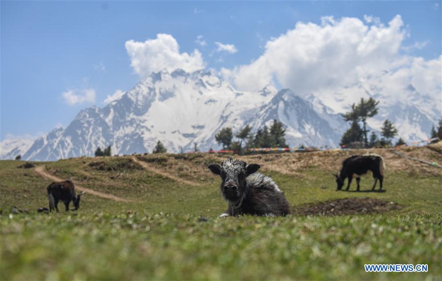 CHINA-TIBET-GYIRONG-SCENERY (CN)