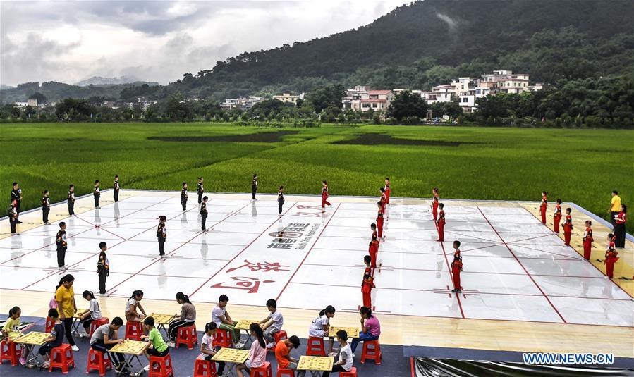 CHINA-GUANGDONG-DEQING-RICE PADDY-ART (CN)