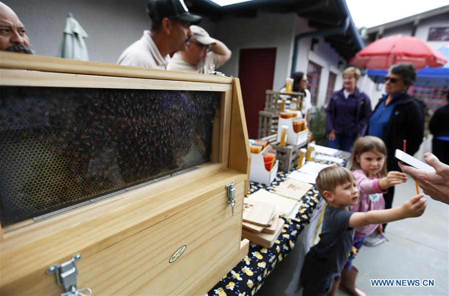 U.S.-LOS ANGELES-BEE-FESTIVAL 