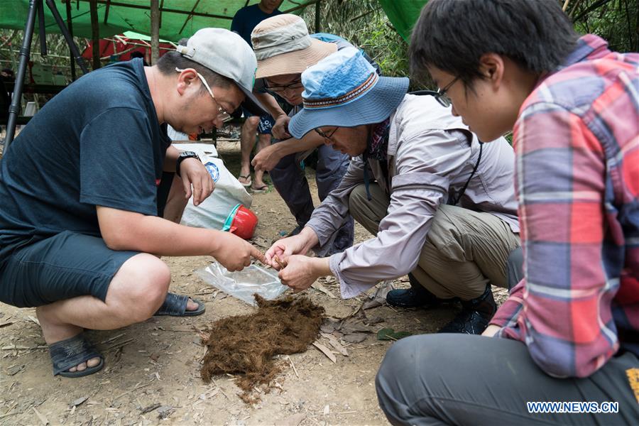 MYANMAR-TAMANTHI-CHINA-JOINT FIELD EXPEDITION