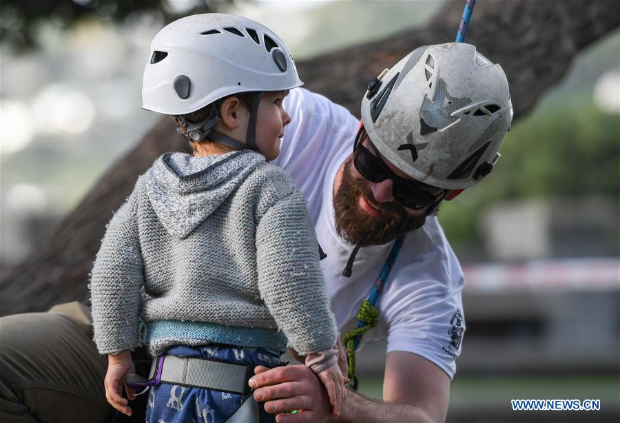 NEW ZEALAND-WELLINGTON-TREE CLIMBING COMPETITION