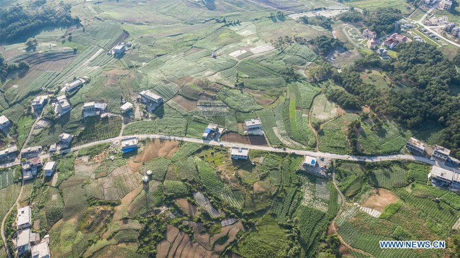 CHINA-GUIZHOU-RURAL ROAD NETWORK (CN)