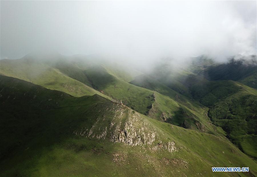 CHINA-GANSU-XIAHE-GRASSLAND-SCENERY (CN)