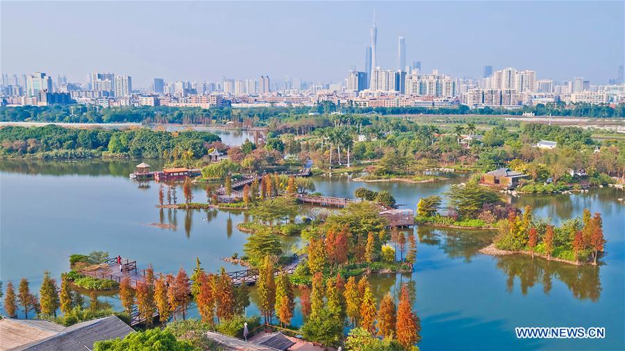 (EcoChina)CHINA-HORTICULTURAL EXPO-GUANGDONG (CN)