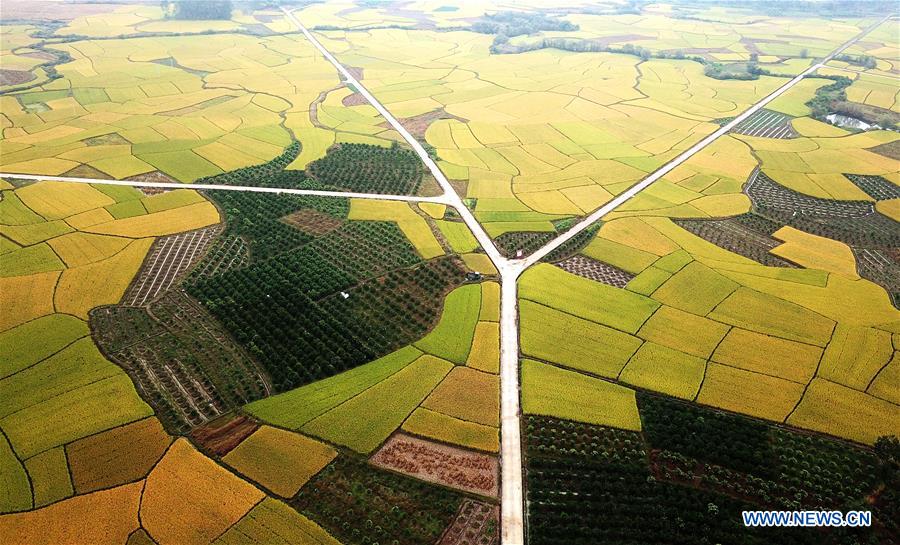 (EcoChina)CHINA-HORTICULTURAL EXPO-GUANGXI (CN)